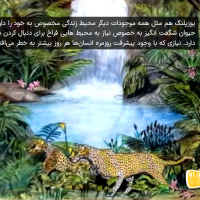 slide2